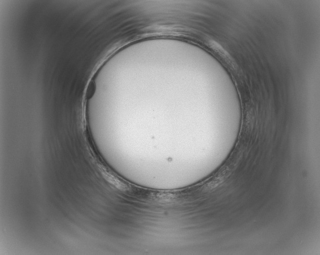 X0000072501370200608111617