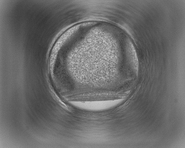 X0000072501371200608111617