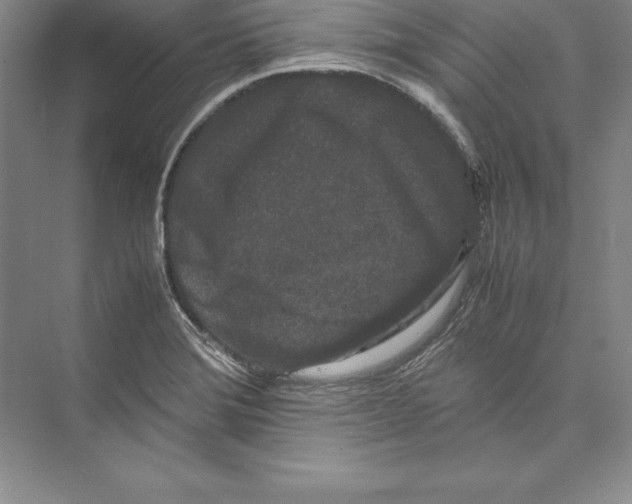 X0000072501372200608111617