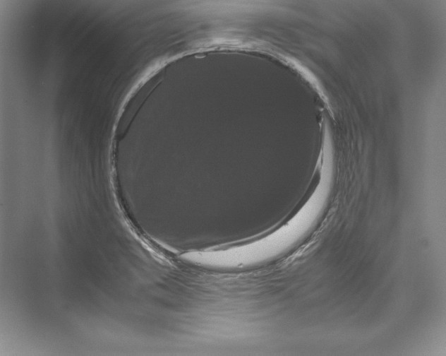 X0000072501373200608111617