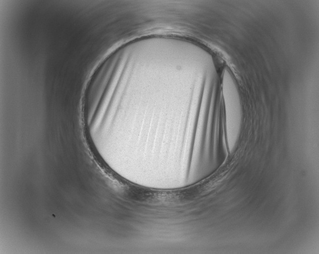 X0000072501375200608111617