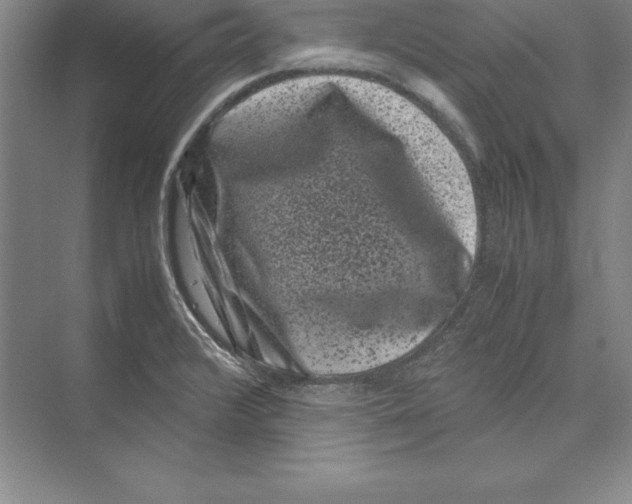 X0000072501376200608111617