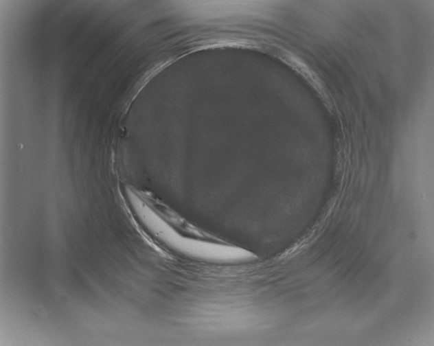 X0000072501377200608111617