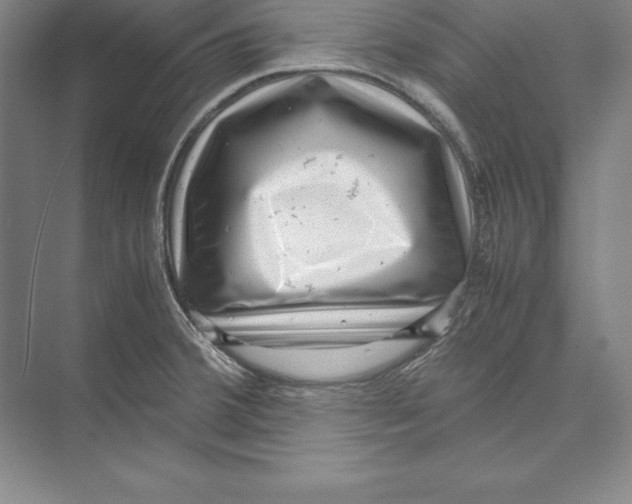 X0000072501380200608111617