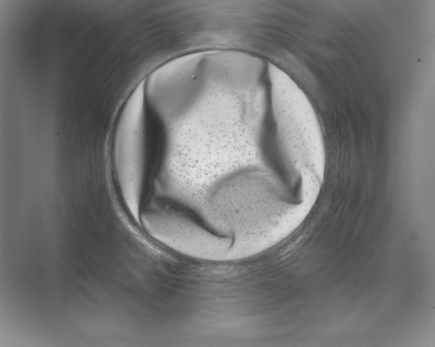 X0000072501382200608111617