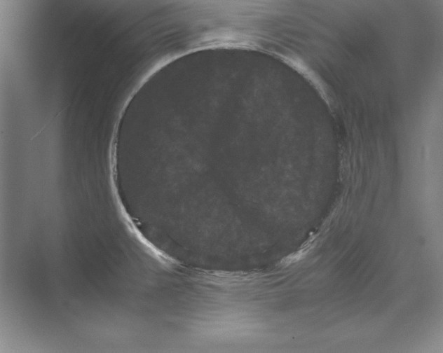 X0000072501383200608111617