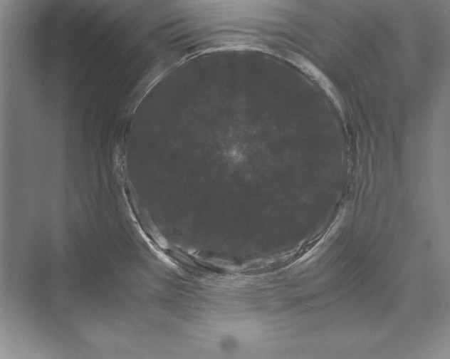 X0000072501385200608111617