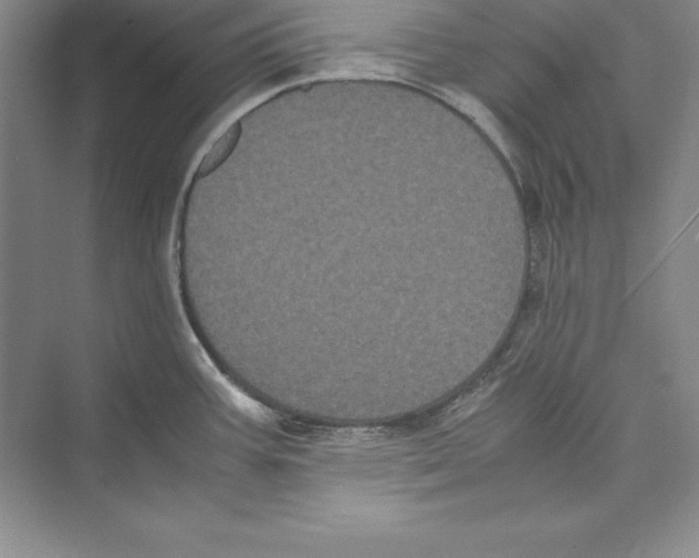 X0000072501387200608111617