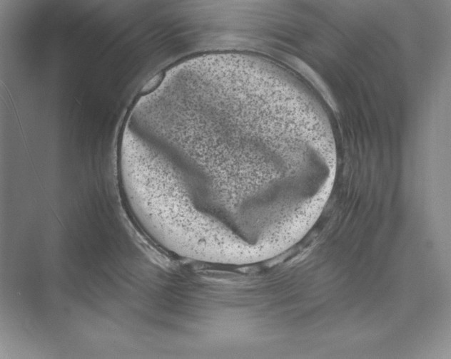 X0000072501388200608111617