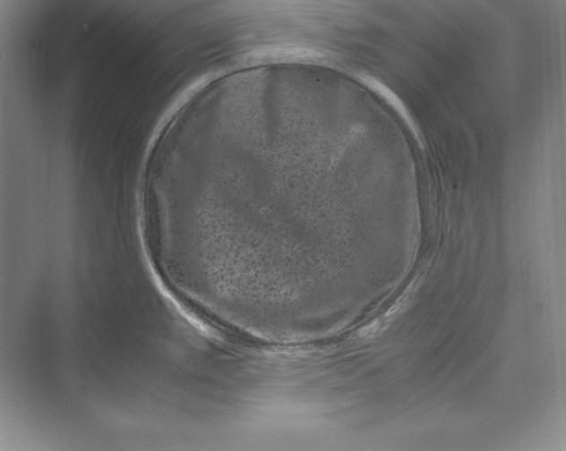 X0000072501389200608111617