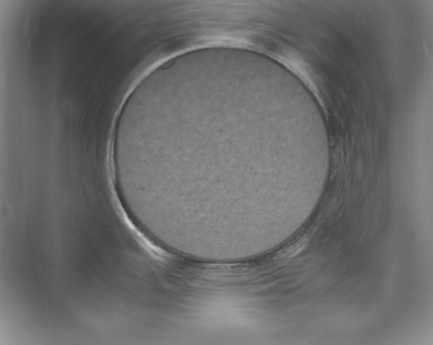 X0000072501391200608111617