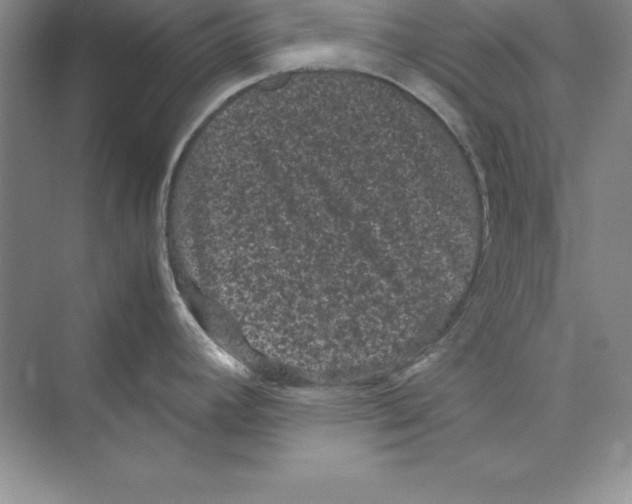 X0000072501392200608111616