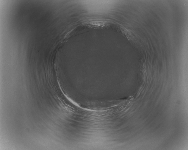 X0000072501394200608111616