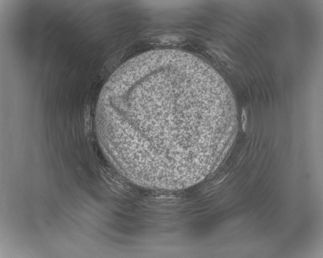 X0000072501395200608111616