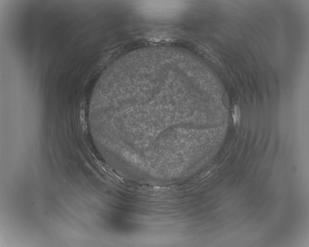 X0000072501396200608111616