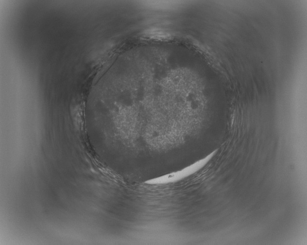 X0000072501397200608111616