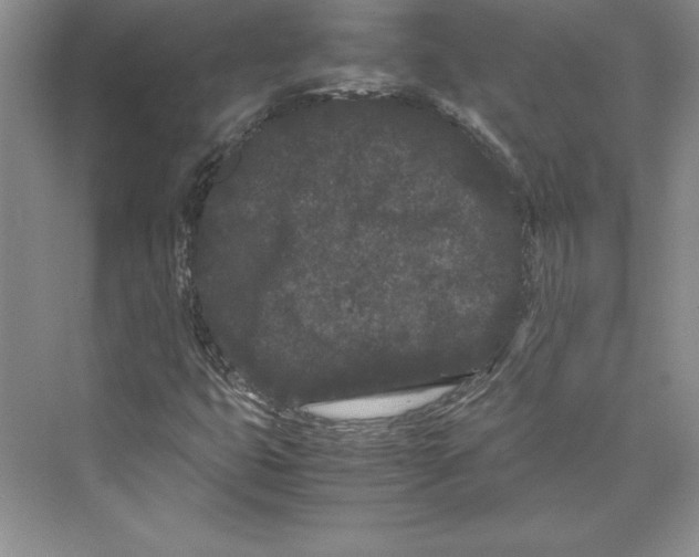 X0000072501399200608111616