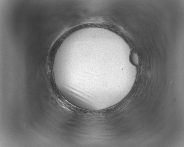 X0000072501400200608111616