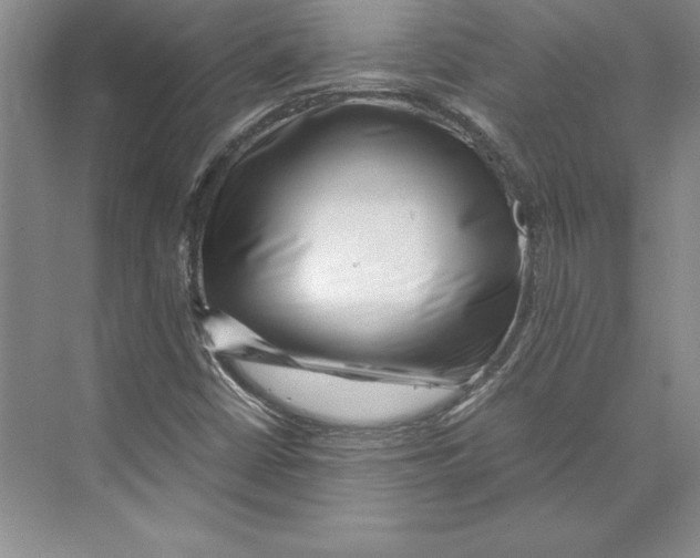 X0000072501402200608111616