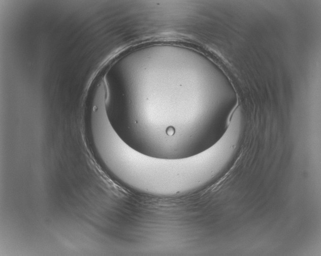 X0000072501410200608111616