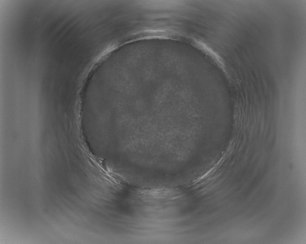 X0000072501411200608111616