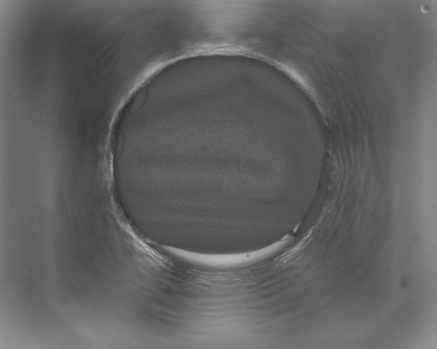 X0000072501414200608111616