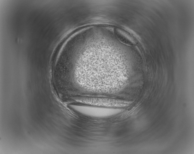 X0000072501415200608111616