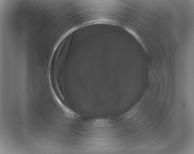 X0000072501418200608111616