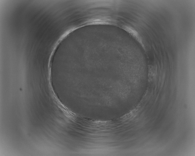 X0000072501419200608111616