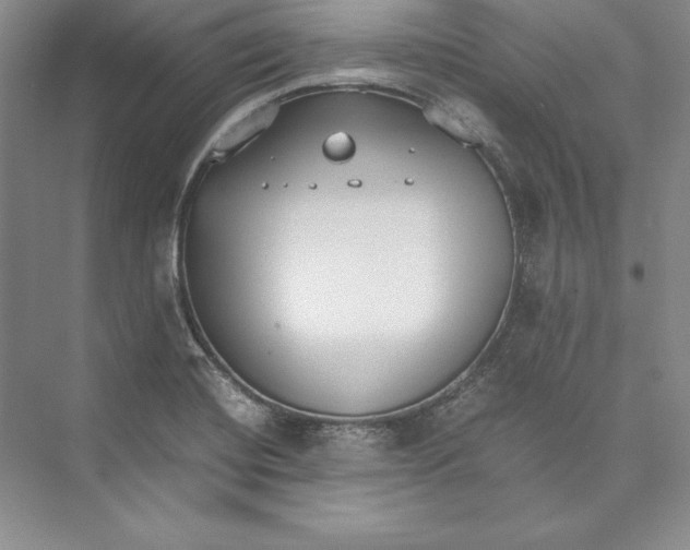 X0000072501420200608111616