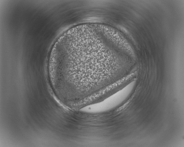 X0000072501421200608111616