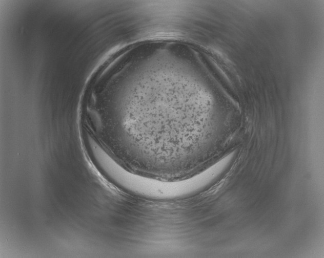 X0000072501422200608111616