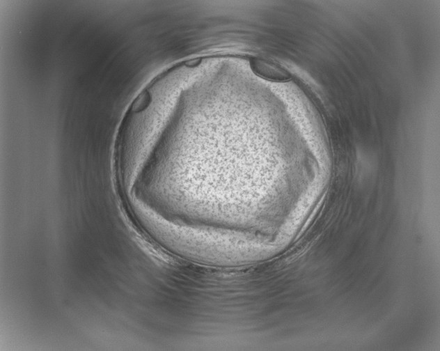 X0000072501423200608111616