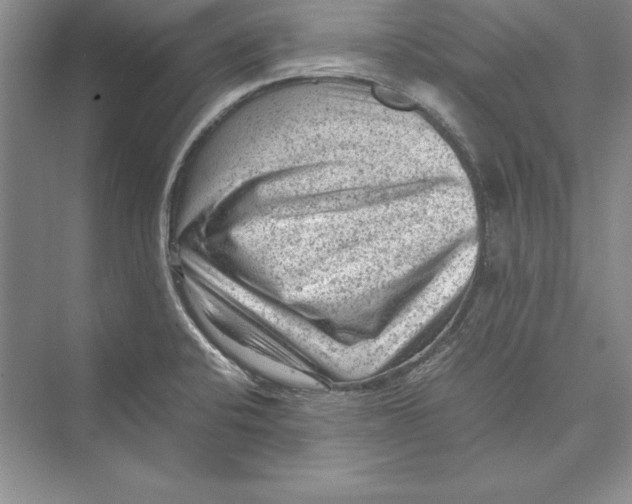 X0000072501424200608111616