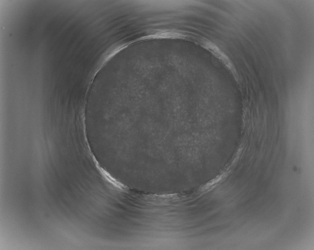 X0000072501425200608111616