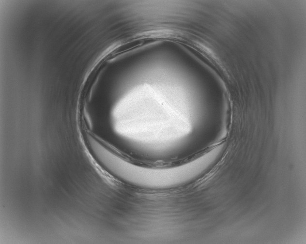 X0000072501426200608111616