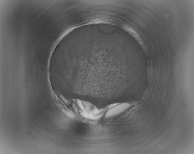 X0000072501427200608111616