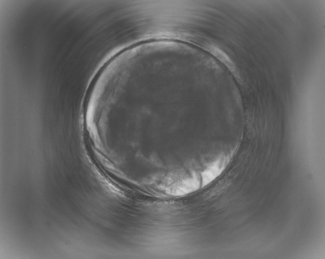 X0000072501428200608111616