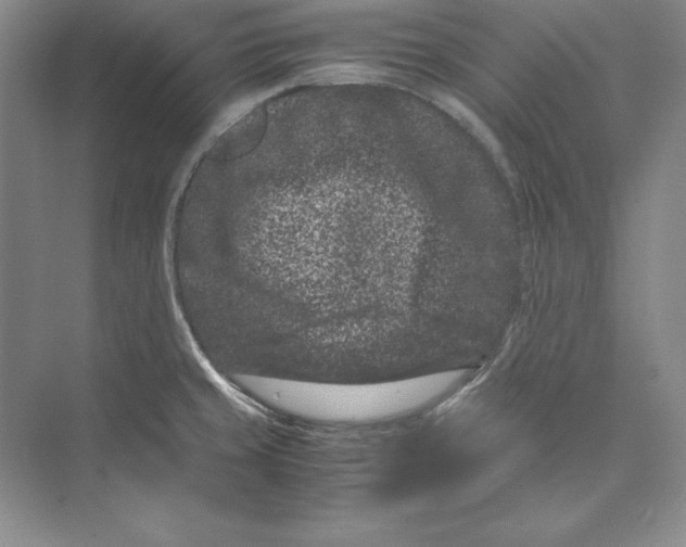 X0000072501429200608111616