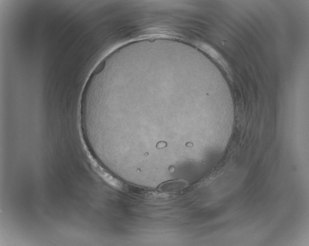 X0000072501431200608111616