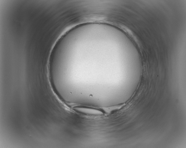 X0000072501432200608111616