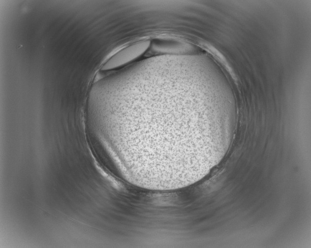 X0000072501433200608111616