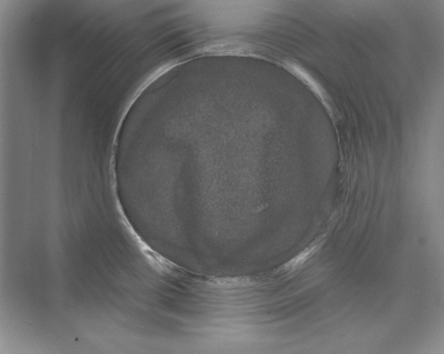 X0000072501434200608111616