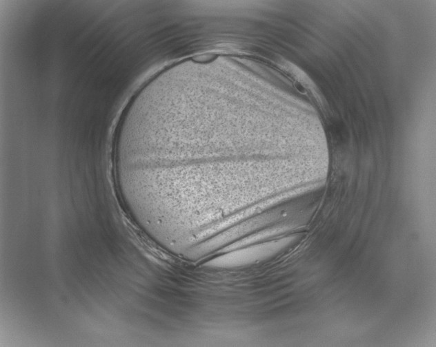 X0000072501435200608111616