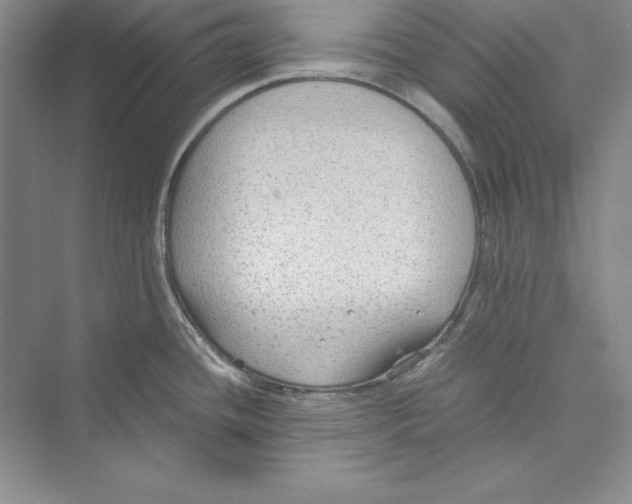 X0000072501436200608111616