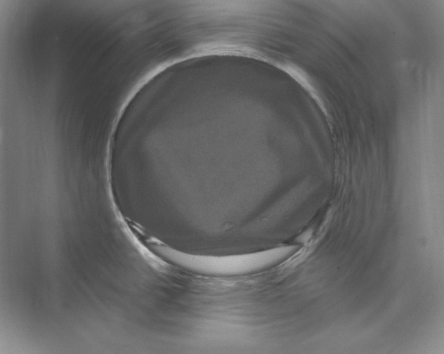 X0000072501438200608111616