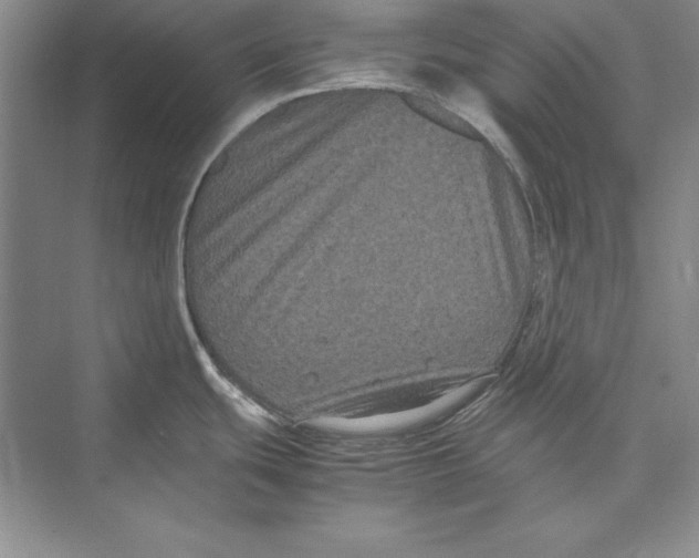 X0000072501439200608111616