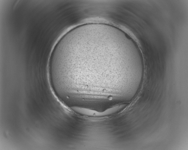 X0000072501440200608111616