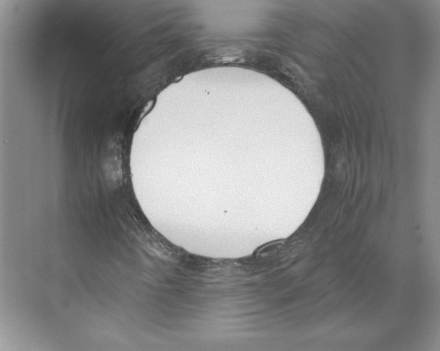 X0000072501442200608111616