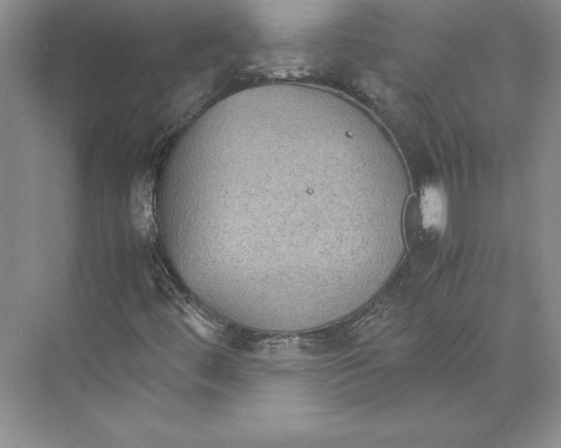 X0000072501444200608111616